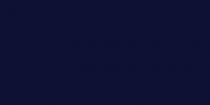 Vīriešu termobikses ar siltu oderi