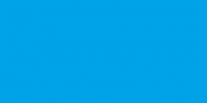 Pārtikas silikona keksa formiņa